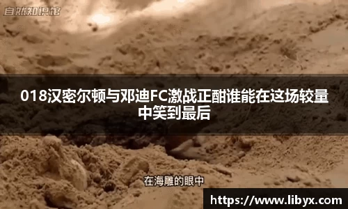 018汉密尔顿与邓迪FC激战正酣谁能在这场较量中笑到最后